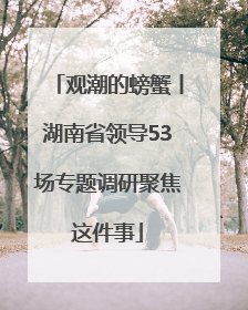 观潮的螃蟹丨湖南省领导53场专题调研聚焦这件事