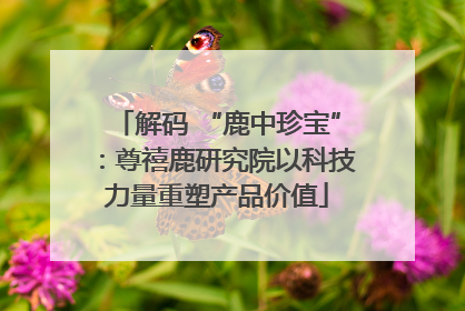 解码 “鹿中珍宝”：尊禧鹿研究院以科技力量重塑产品价值