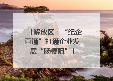 解放区：“纪企直通”打通企业发展“肠梗阻”