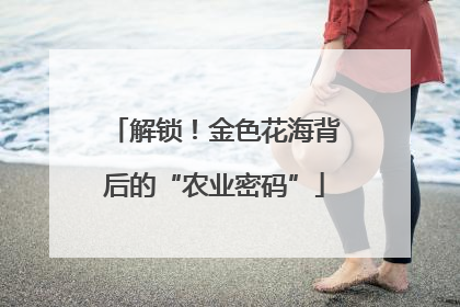 解锁！金色花海背后的“农业密码”