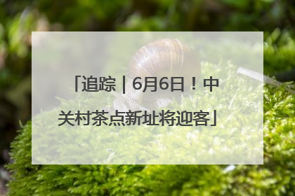 追踪｜6月6日！中关村茶点新址将迎客