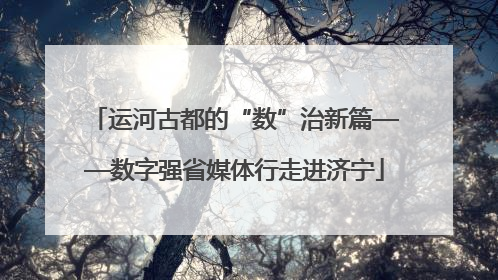 运河古都的“数”治新篇——数字强省媒体行走进济宁