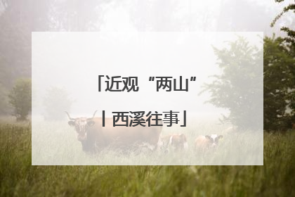 近观“两山”丨西溪往事