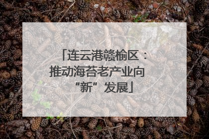 连云港赣榆区：推动海苔老产业向“新”发展