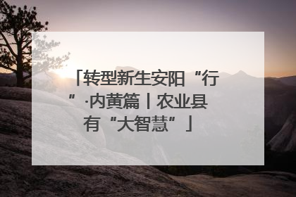 转型新生安阳“行”·内黄篇丨农业县有“大智慧”