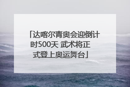 达喀尔青奥会迎倒计时500天 武术将正式登上奥运舞台