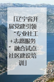 辽宁省开展党建引领“专业社工+志愿服务”融合试点社区建设培训