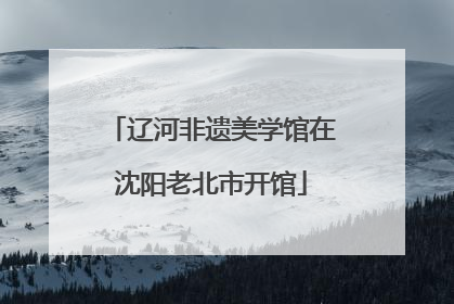 辽河非遗美学馆在沈阳老北市开馆