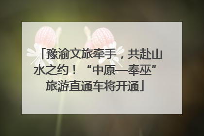 豫渝文旅牵手，共赴山水之约！“中原—奉巫”旅游直通车将开通