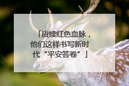 赓续红色血脉，他们这样书写新时代“平安答卷”