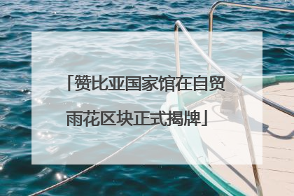 赞比亚国家馆在自贸雨花区块正式揭牌
