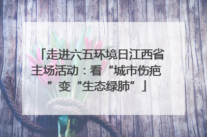 走进六五环境日江西省主场活动：看“城市伤疤”变“生态绿肺”