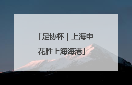 足协杯｜上海申花胜上海海港