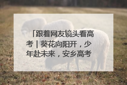 跟着网友镜头看高考｜葵花向阳开，少年赴未来，安乡高考首日的希望图景