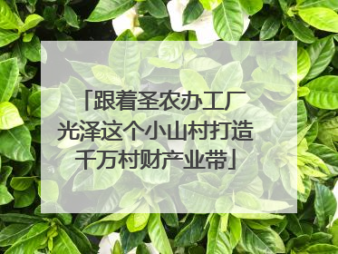 跟着圣农办工厂 光泽这个小山村打造千万村财产业带