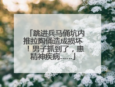 跳进兵马俑坑内推拉陶俑造成损坏！男子抓到了，患精神疾病……