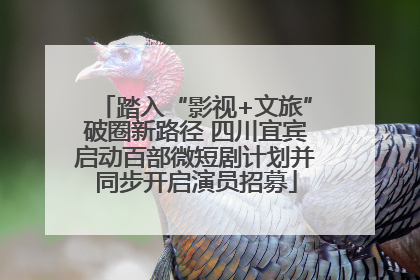 踏入“影视+文旅”破圈新路径 四川宜宾启动百部微短剧计划并同步开启演员招募