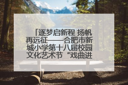 逐梦启新程 扬帆再远征——合肥市新城小学第十八届校园文化艺术节“戏曲进校园专场演出”