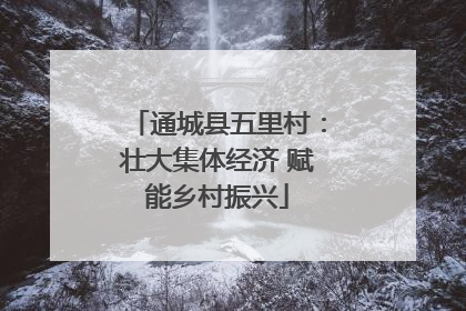 通城县五里村：壮大集体经济 赋能乡村振兴