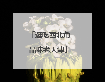 逛吃西北角 品味老天津