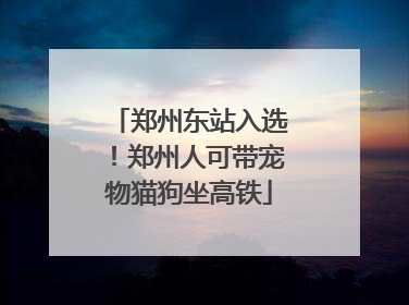 郑州东站入选！郑州人可带宠物猫狗坐高铁