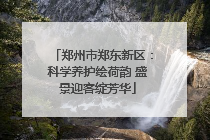 郑州市郑东新区：科学养护绘荷韵 盛景迎客绽芳华