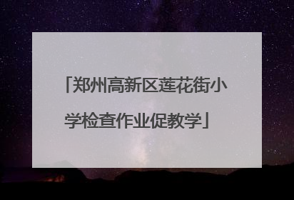 郑州高新区莲花街小学检查作业促教学