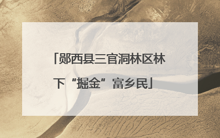 郧西县三官洞林区林下“掘金”富乡民