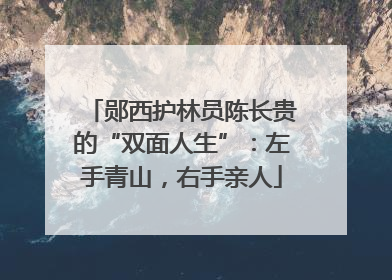 郧西护林员陈长贵的“双面人生”：左手青山，右手亲人
