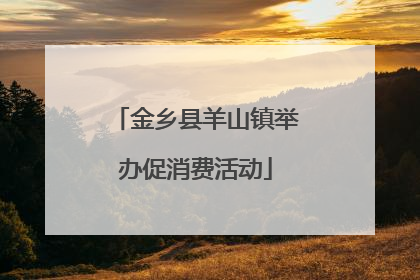 金乡县羊山镇举办促消费活动