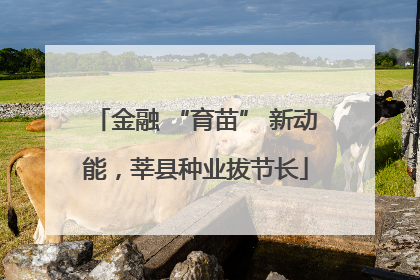 金融 “育苗” 新动能，莘县种业拔节长