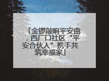 金锣敲响平安曲，西厂口社区“平安合伙人”携手共筑幸福家
