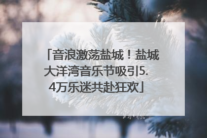 音浪激荡盐城！盐城大洋湾音乐节吸引5.4万乐迷共赴狂欢
