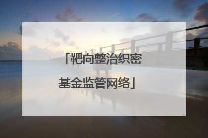靶向整治织密基金监管网络