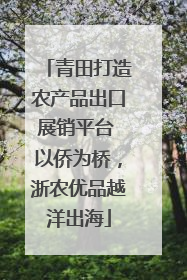 青田打造农产品出口展销平台 以侨为桥，浙农优品越洋出海