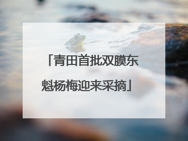 青田首批双膜东魁杨梅迎来采摘