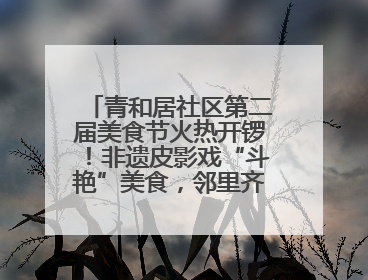 青和居社区第二届美食节火热开锣！非遗皮影戏“斗艳”美食，邻里齐聚“粽”享温情