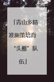 青山乡精准施策培育“头雁”队伍