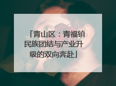 青山区：青福镇民族团结与产业升级的双向奔赴