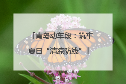 青岛动车段：筑牢夏日“清凉防线”
