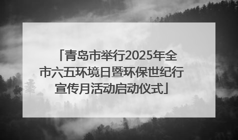 青岛市举行2025年全市六五环境日暨环保世纪行宣传月活动启动仪式
