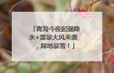 青海今夜起强降水+雷暴大风来袭，局地暴雪！