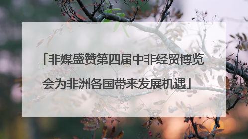 非媒盛赞第四届中非经贸博览会为非洲各国带来发展机遇