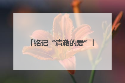 铭记“清澈的爱”