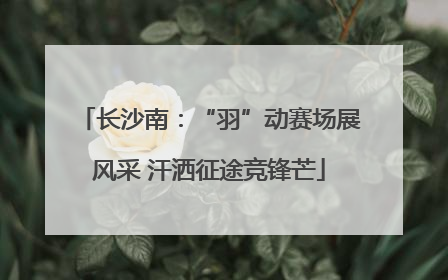 长沙南：“羽”动赛场展风采 汗洒征途竞锋芒