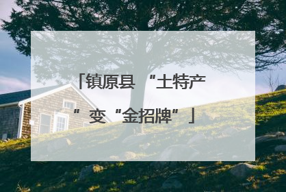 镇原县 “土特产”变“金招牌”