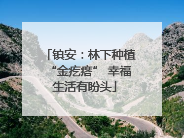 镇安：林下种植“金疙瘩” 幸福生活有盼头