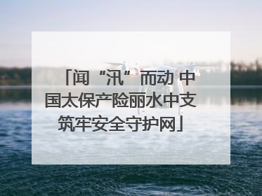 闻“汛”而动 中国太保产险丽水中支筑牢安全守护网