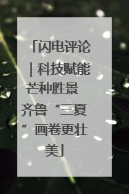 闪电评论｜科技赋能芒种胜景 齐鲁“三夏”画卷更壮美