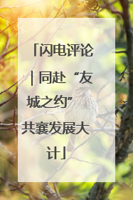 闪电评论｜同赴“友城之约” 共襄发展大计